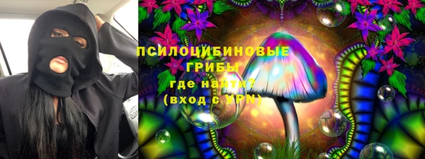МДПВ Бронницы