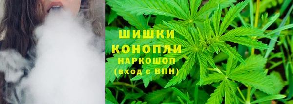 МДПВ Бронницы