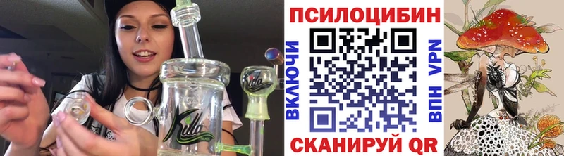 Псилоцибиновые грибы мухоморы  цена   ОМГ ОМГ ссылки  Тбилисская 
